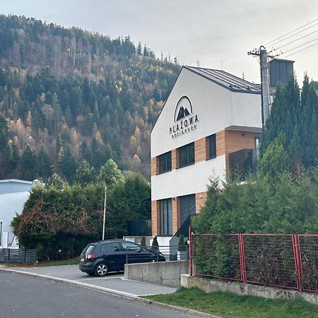 Plazowa Gray Apartament Szczyrk Exteriör bild
